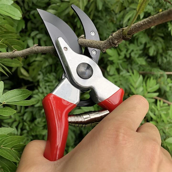 Electric branch scissors-Make Your Gardening Work Easy