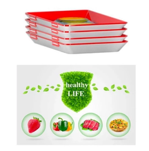 Load image into Gallery viewer, 2019 Fresh Food New Idea - Creative Food Preservation Tray
